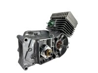 Neumotor 50ccm Stage2